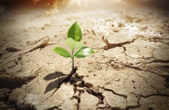 hope_mindful_happiness