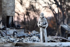 Out of the fires, a Phoenix